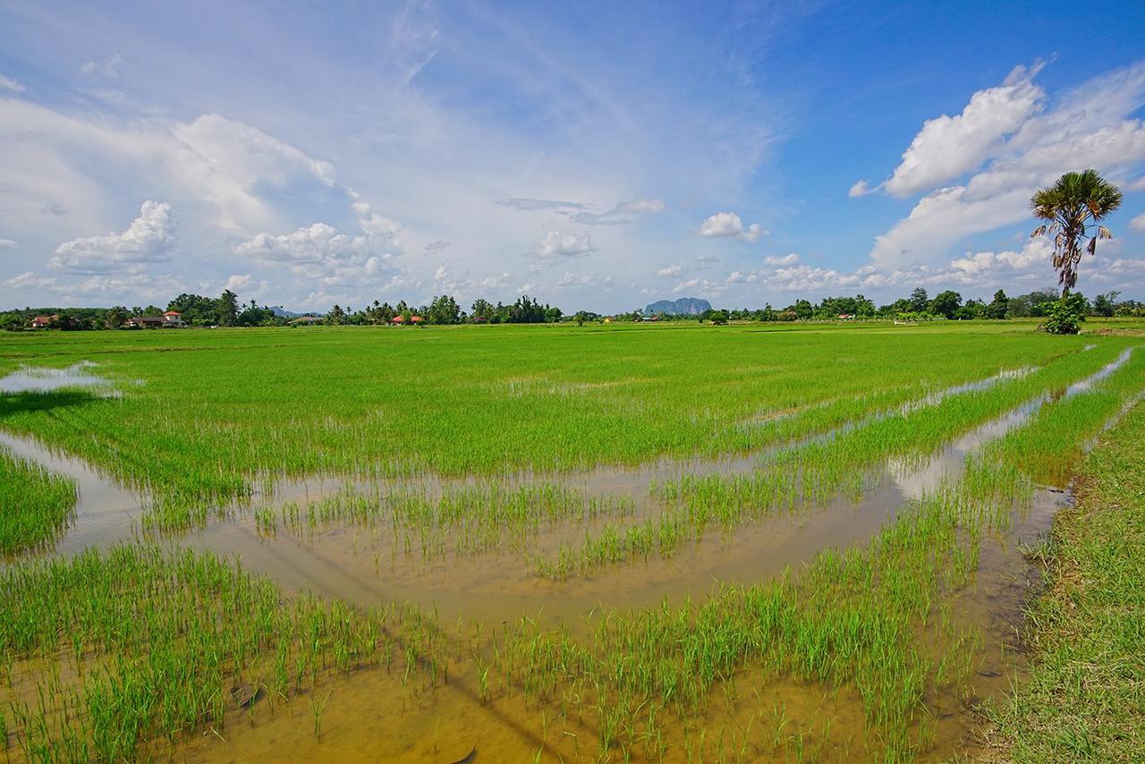 Abisabi Homestay Kangar Exteriér fotografie